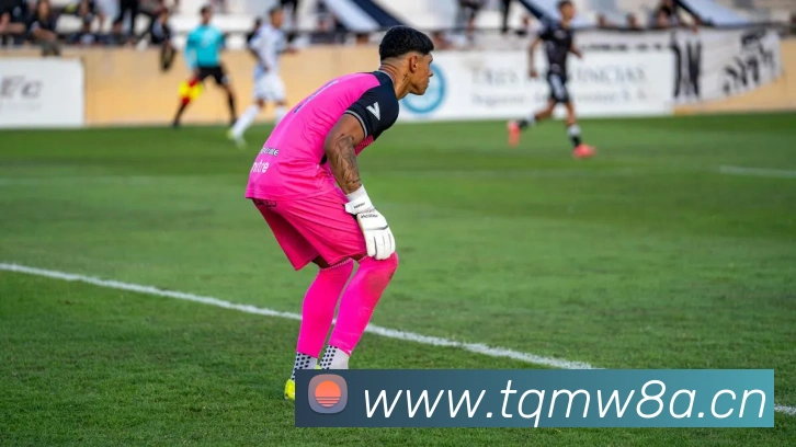 K1体育十年品牌值得信赖官网入口平台生态图